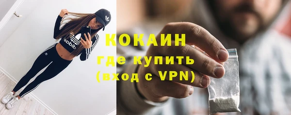 стафф Инта