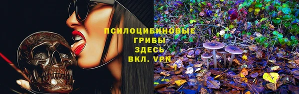 стафф Инта