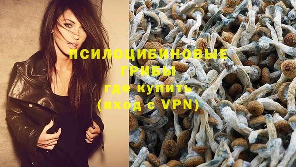 скорость Инсар