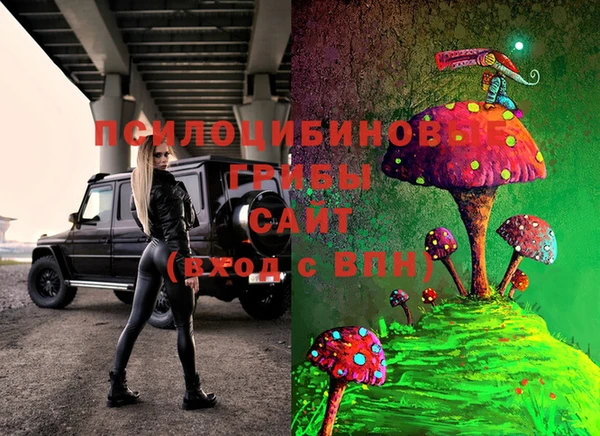 ешки Зеленодольск